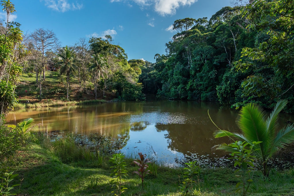 La Laguna del Lagarto Eco-Lodge — photo 5