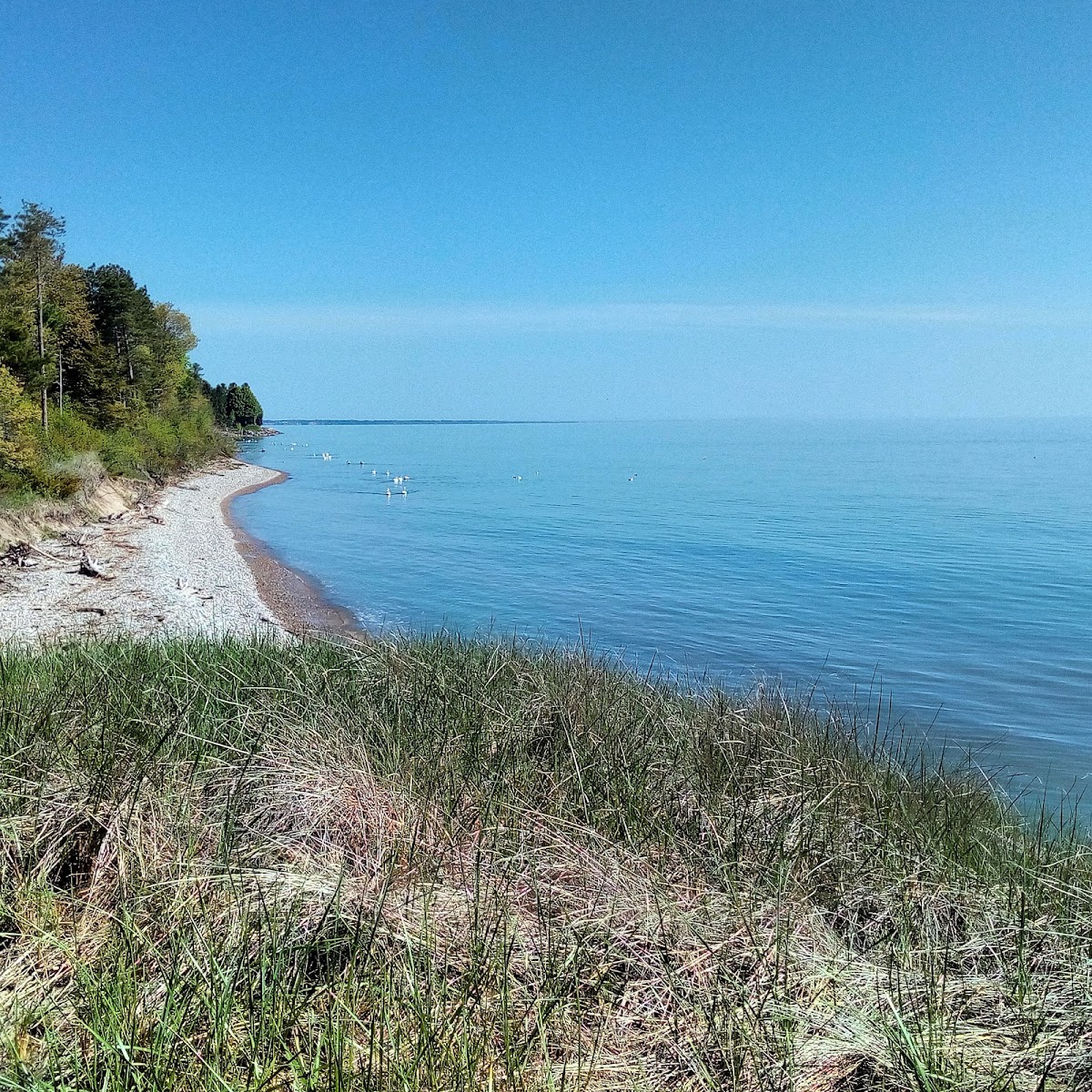 Point Beach State Forest — photo 3