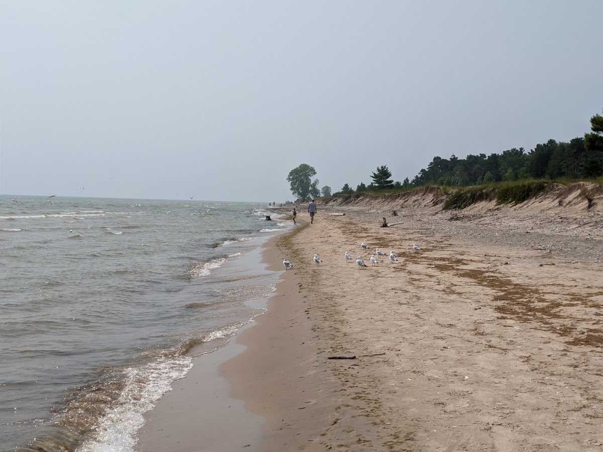 Point Beach State Forest — photo 4