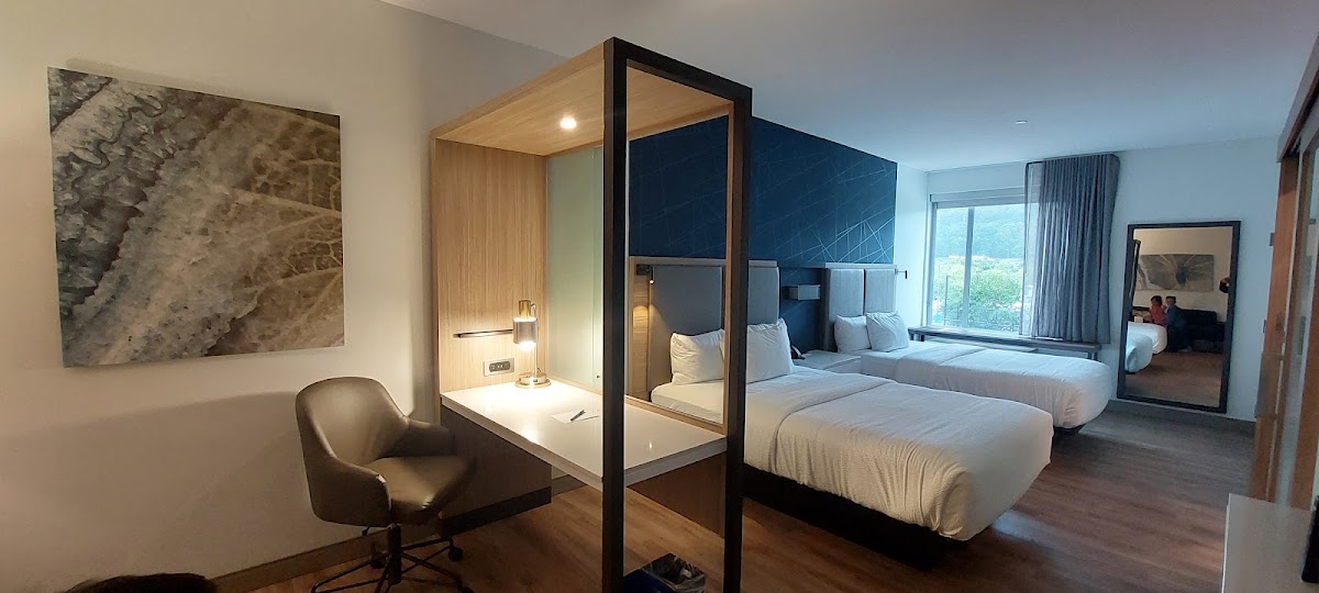 SpringHill Suites by Marriott Roanoke North — photo 3