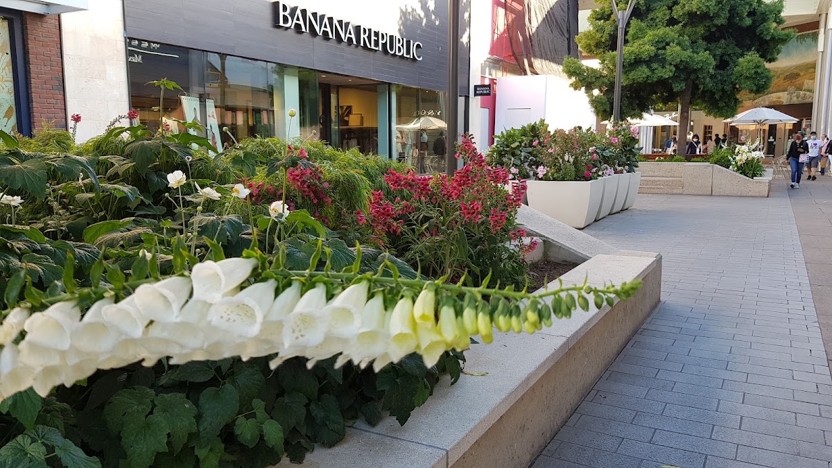 Banana Republic — photo 5