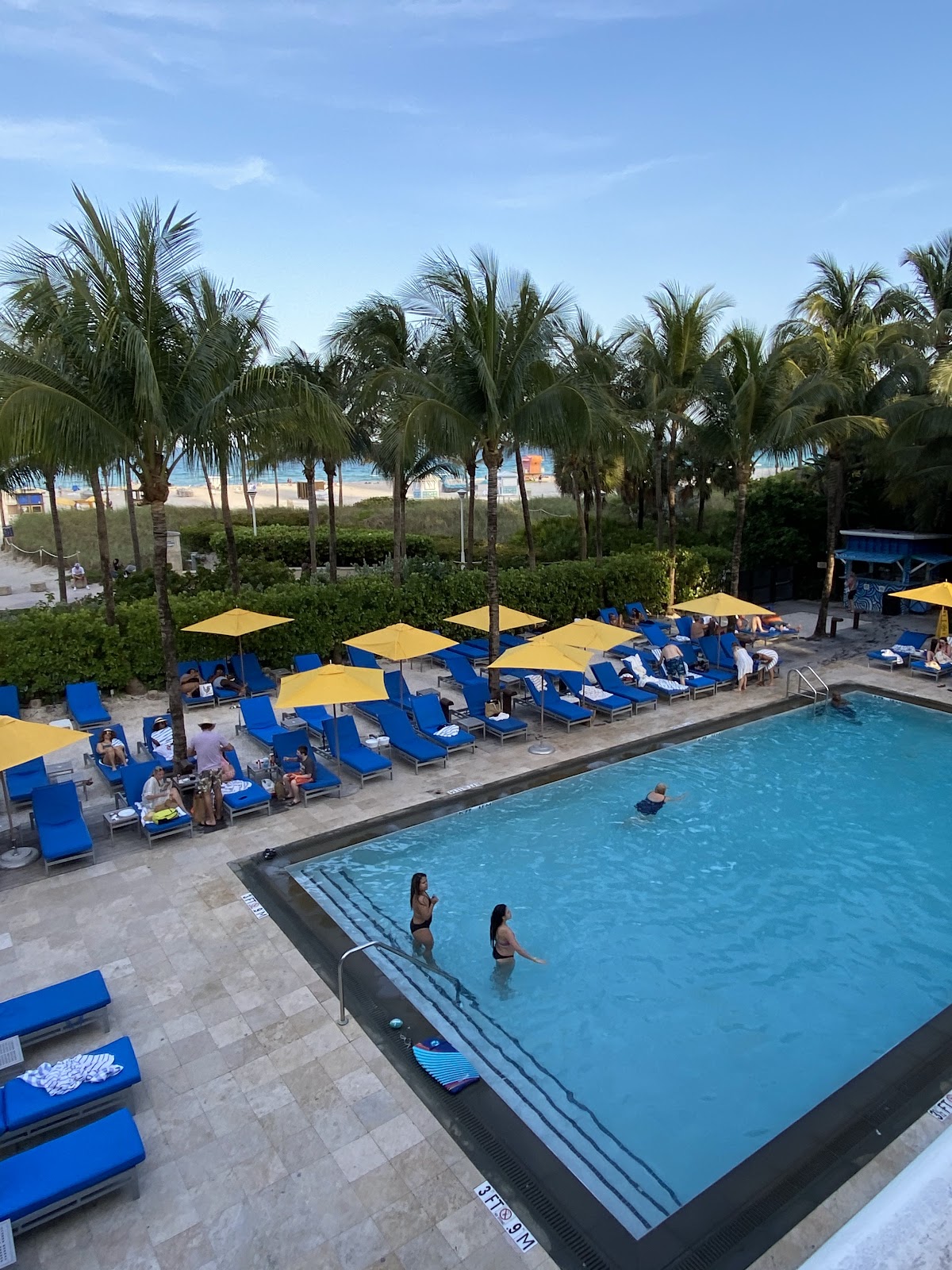 Royal Palm South Beach Miami, a Tribute Portfolio Resort — photo 4