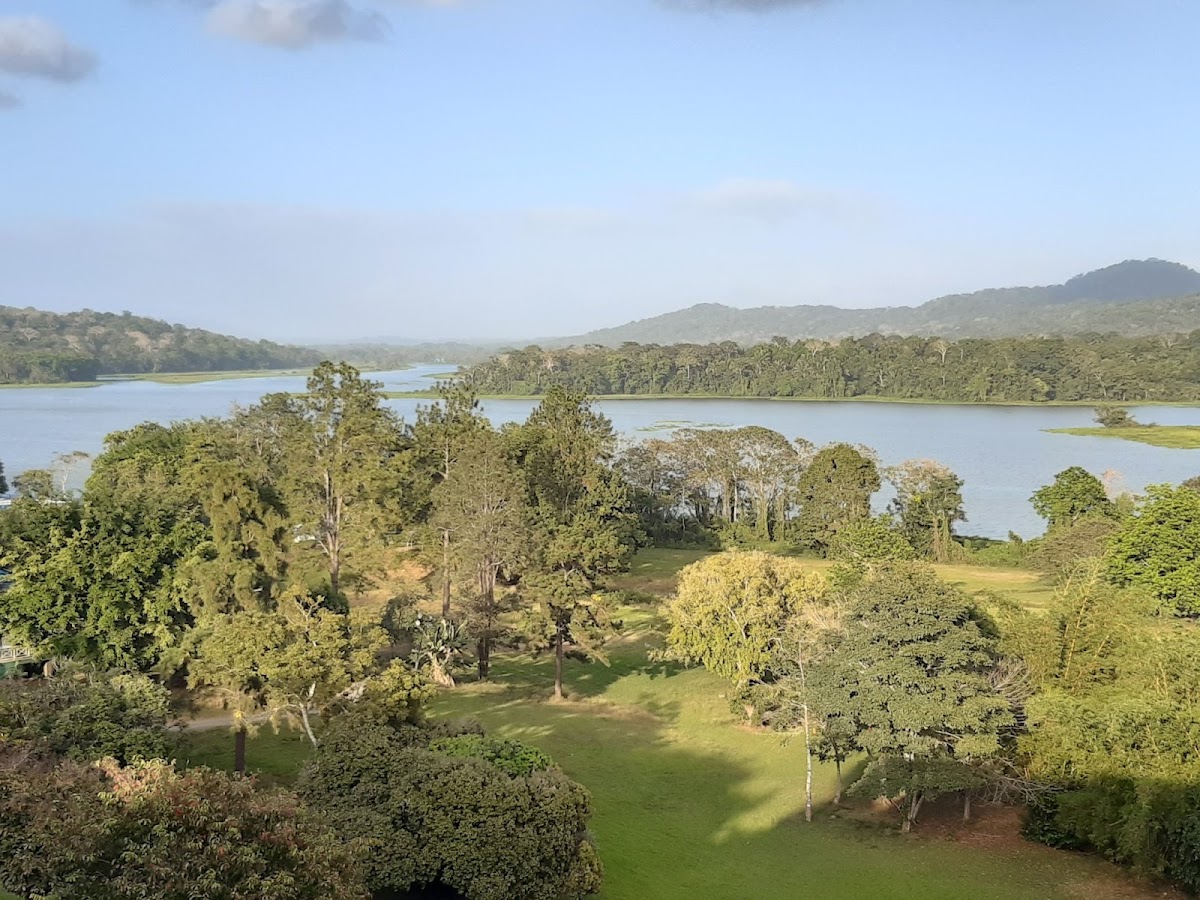 Gamboa Rainforest Reserve — photo 4