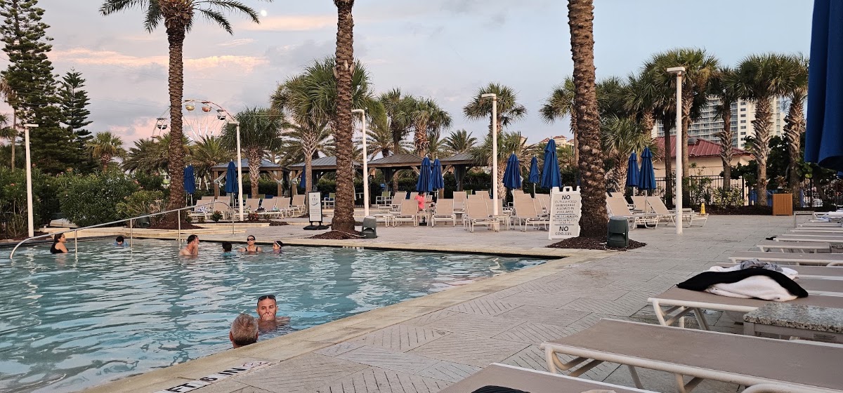 Hilton Clearwater Beach Resort & Spa — photo 4