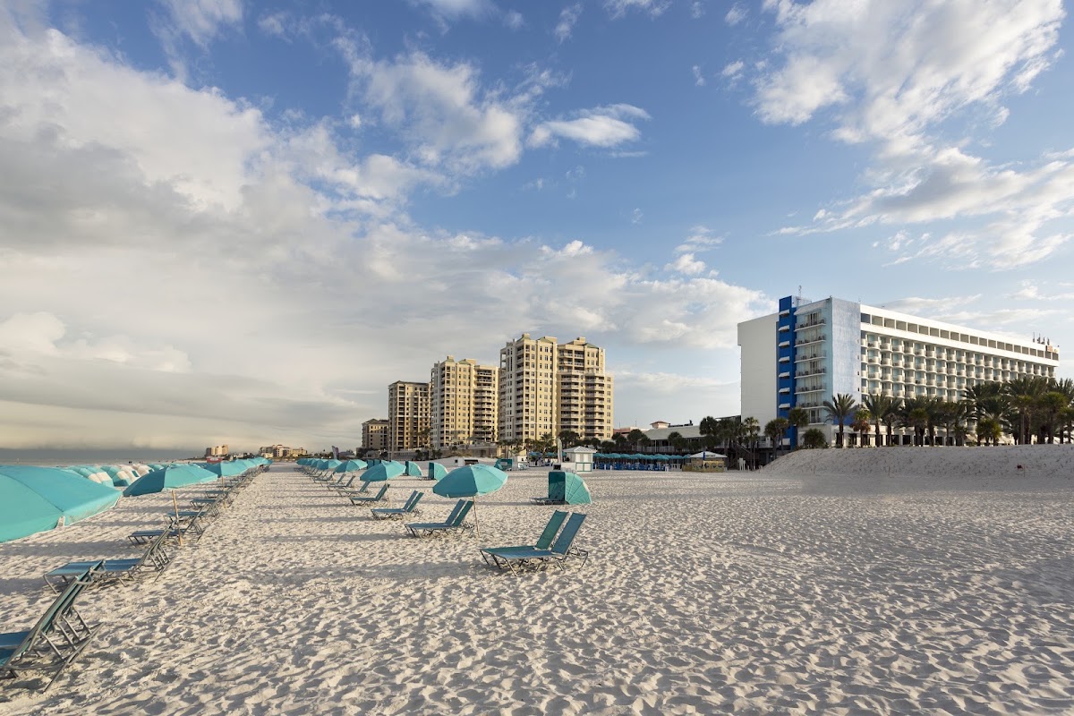 Hilton Clearwater Beach Resort & Spa — photo 5