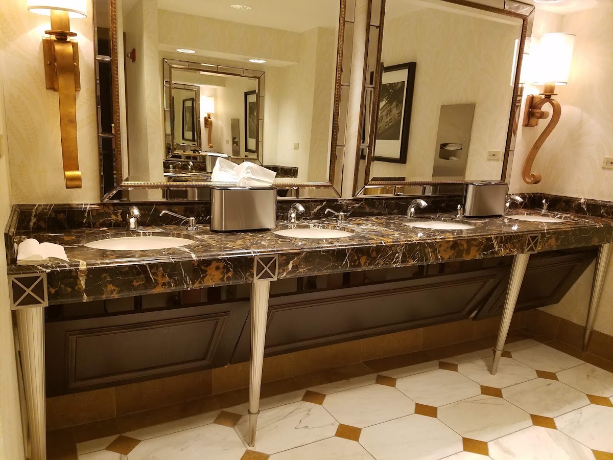 Palmer House a Hilton Hotel — photo 5