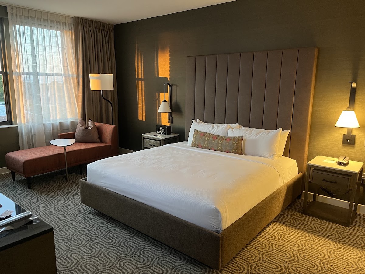 Hotel Vin, Grapevine, Autograph Collection — photo 3