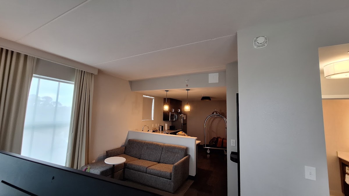 Residence Inn by Marriott Jacksonville-Mayo Clinic Area — photo 3
