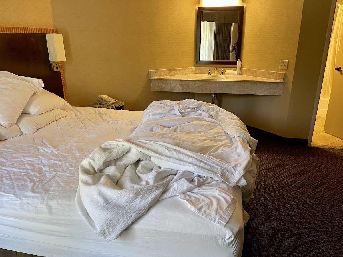 Embassy Suites by Hilton Birmingham — photo 3