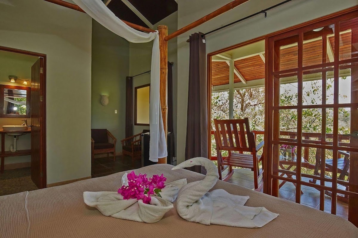 Kambo Casita — photo 4