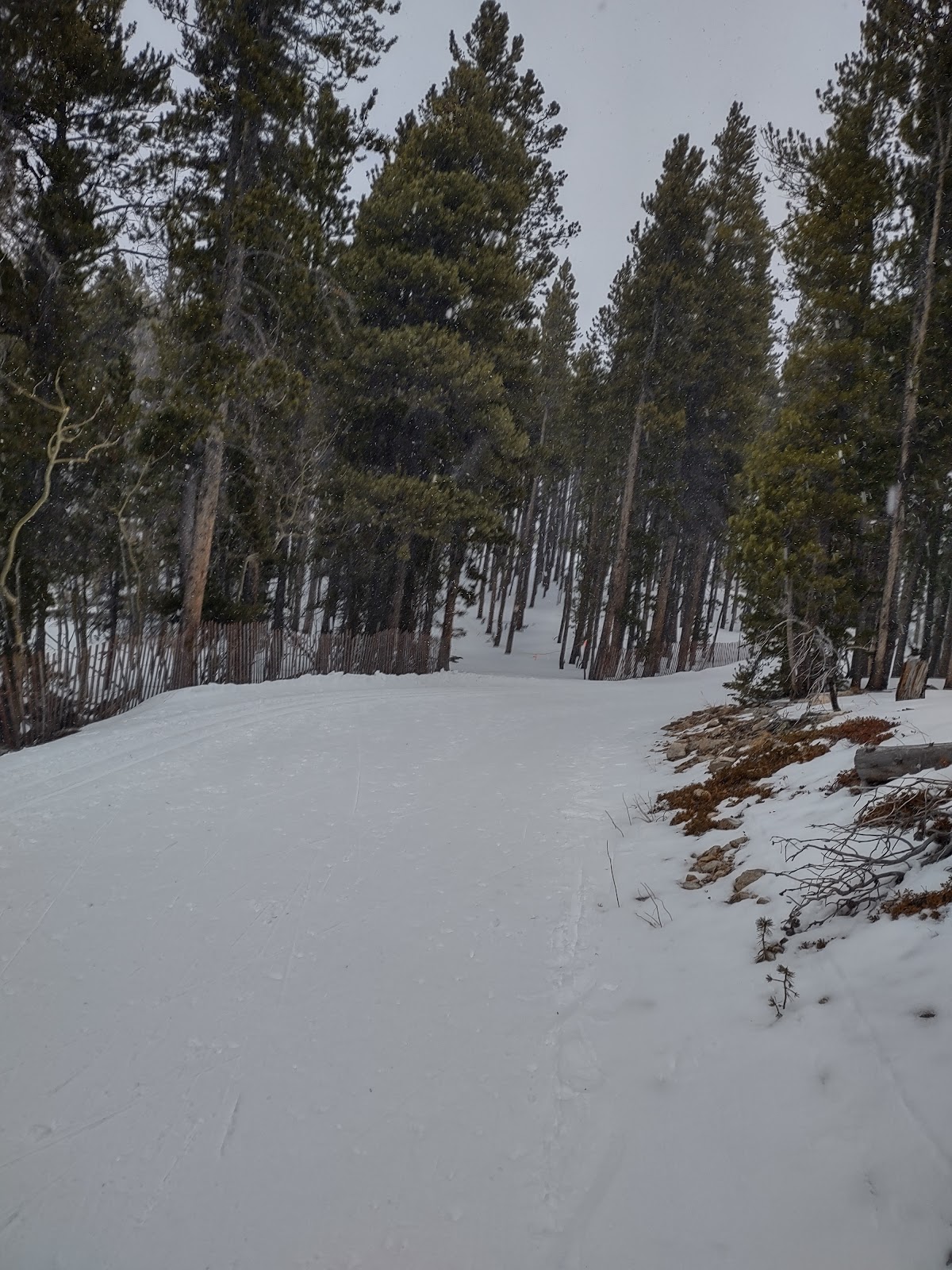 Eldora Cross Country Skiing