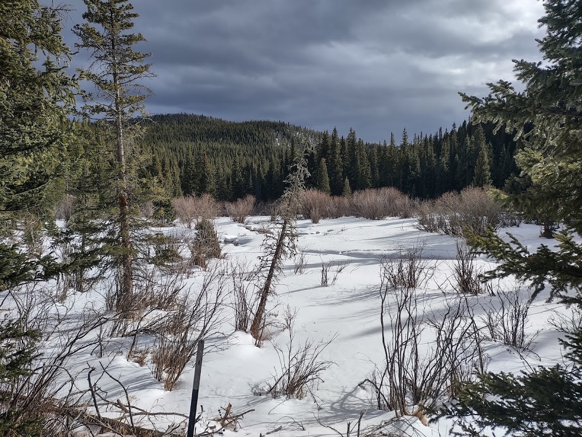 Eldora Cross Country Skiing — photo 3
