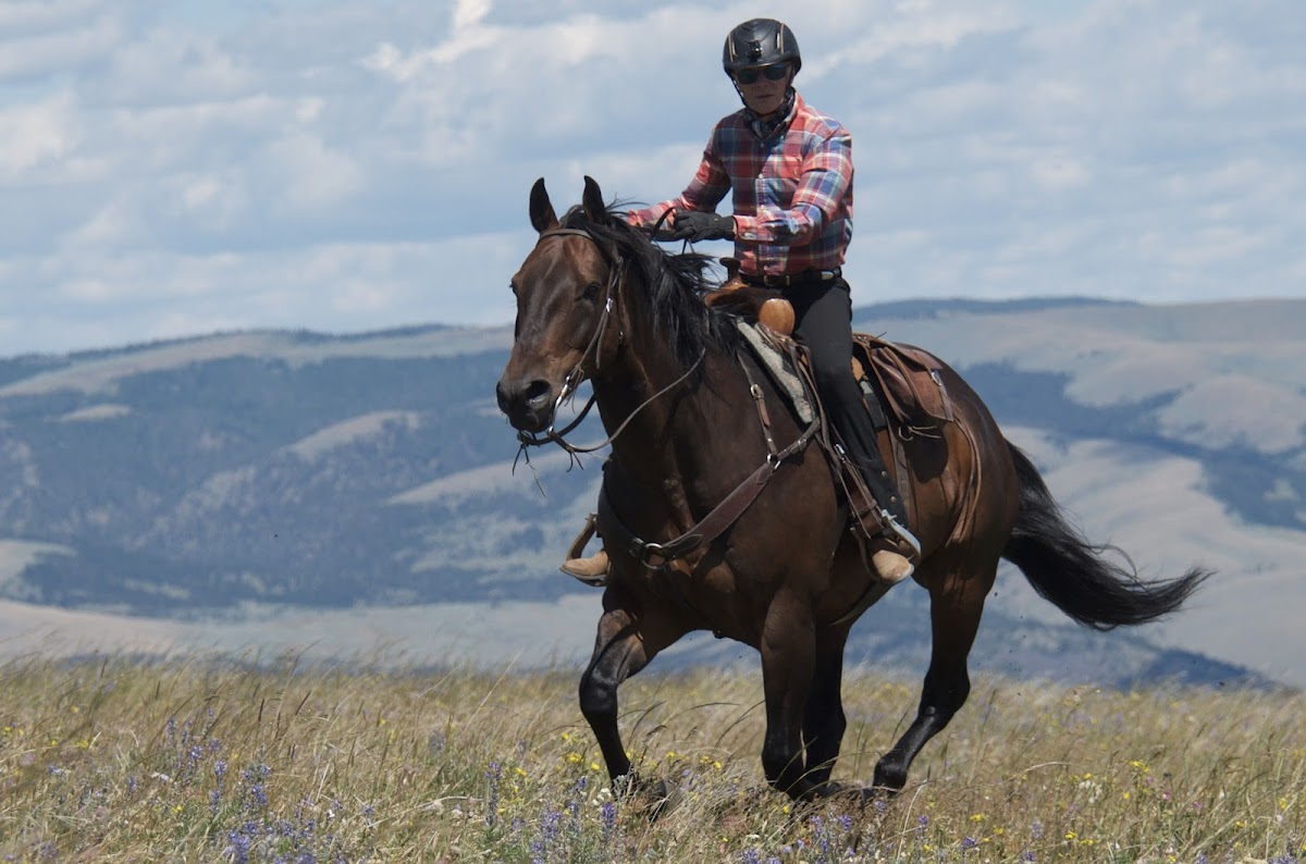 Bonanza Creek Ranch Montana — photo 5