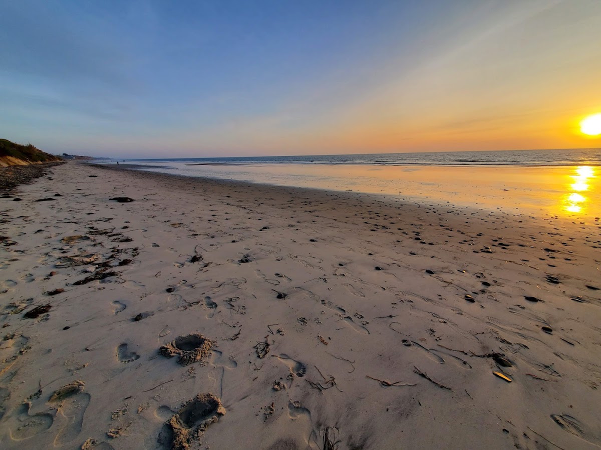 South Carlsbad State Beach Campground — photo 4