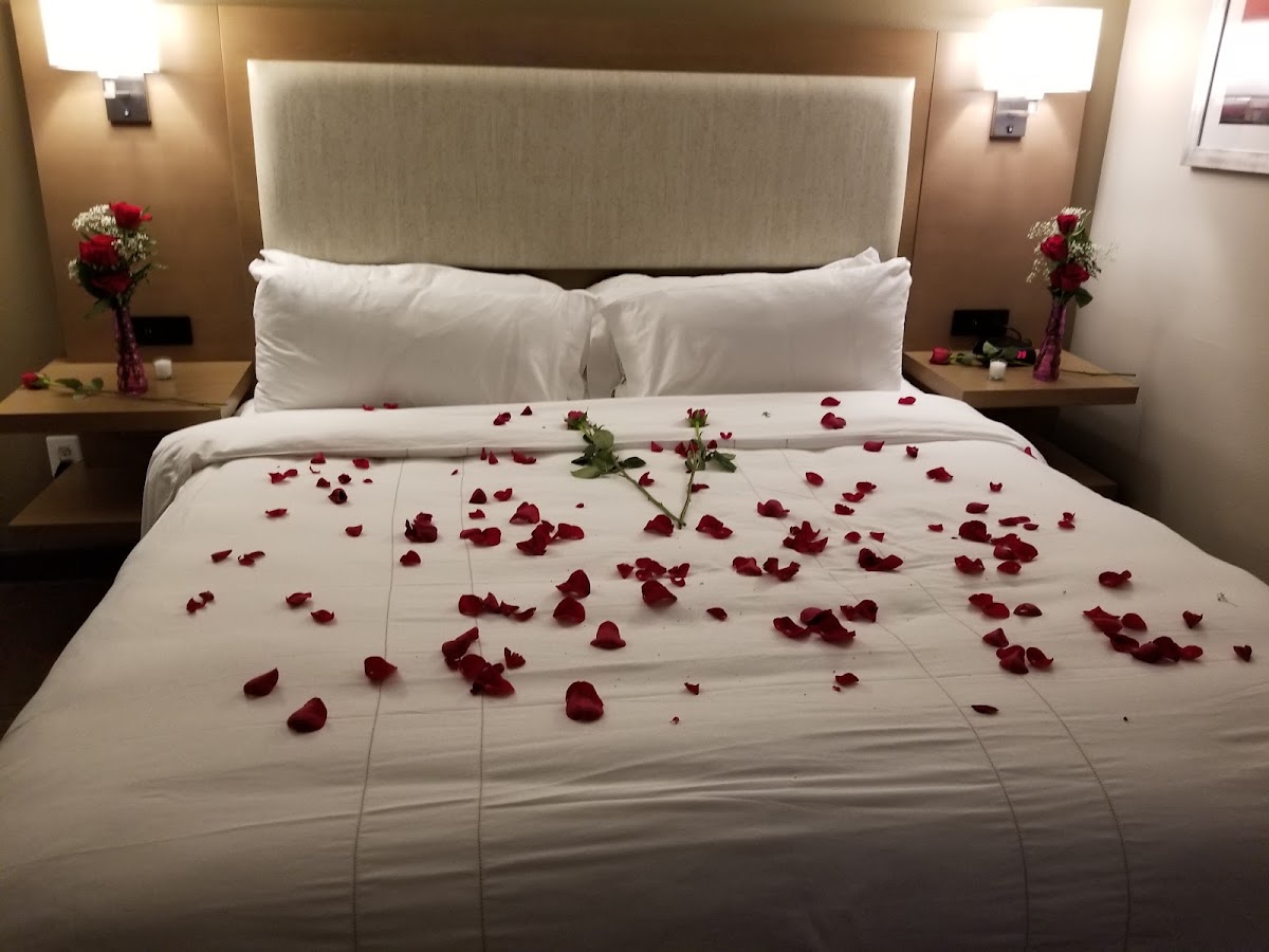 Clearwater Beach Marriott Resort on Sand Key — photo 3