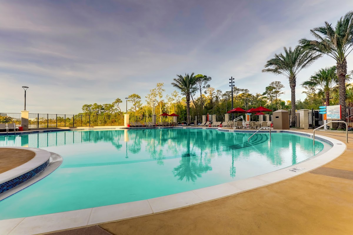 Drury Plaza Hotel Orlando - Disney Springs Area — photo 4