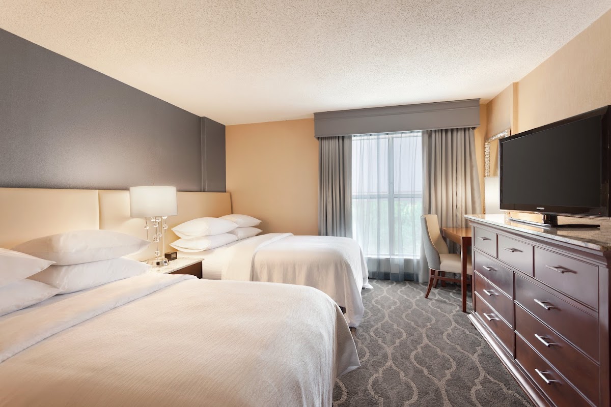 Embassy Suites by Hilton Atlanta Airport — photo 3