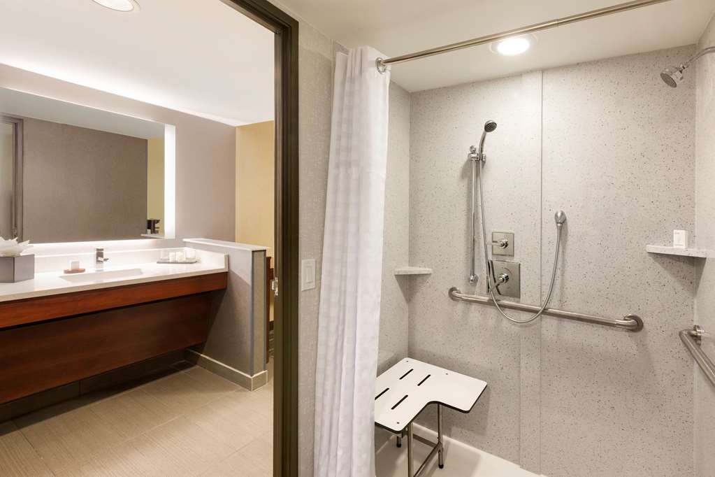 Embassy Suites by Hilton Atlanta Airport — photo 5
