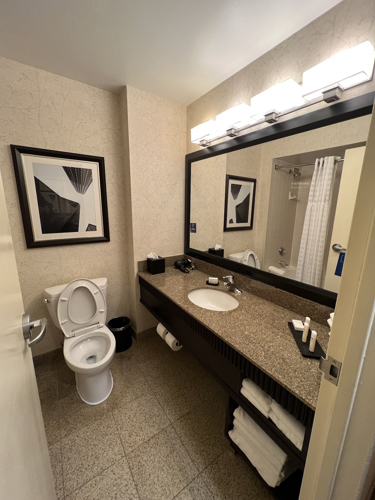 Embassy Suites by Hilton Chicago Downtown River North — photo 4