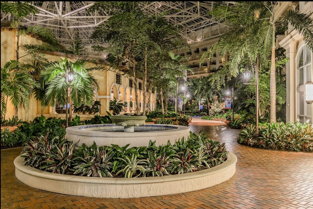 Gaylord Palms Resort & Convention Center — photo 5