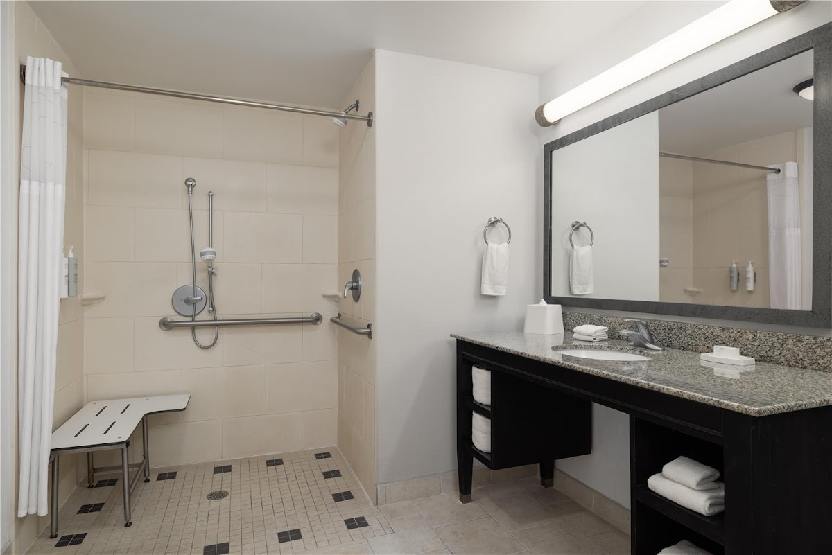 Hampton Inn & Suites Baton Rouge Downtown — photo 4