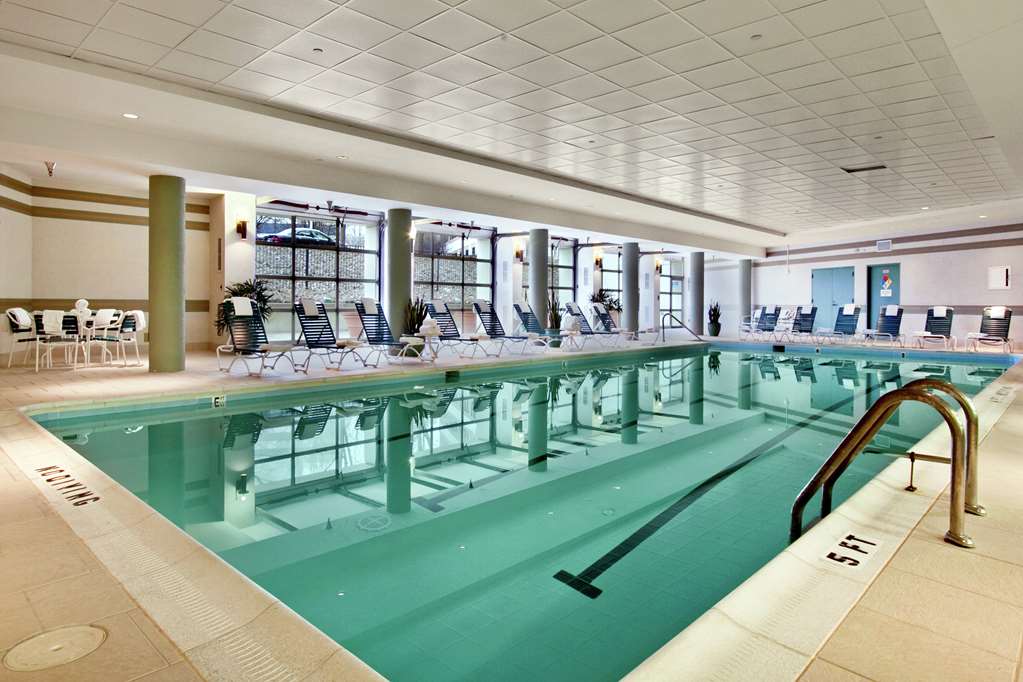 Hilton McLean Tysons Corner — photo 4