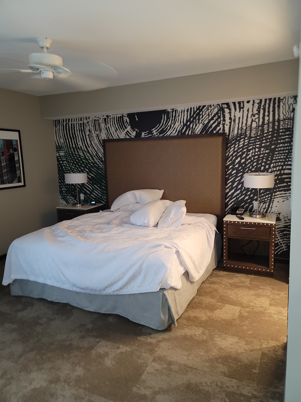 Homewood Suites by Hilton Austin Downtown — photo 3
