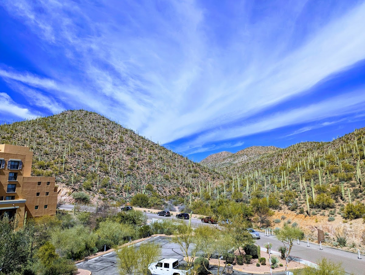 JW Marriott Tucson Starr Pass Resort & Spa