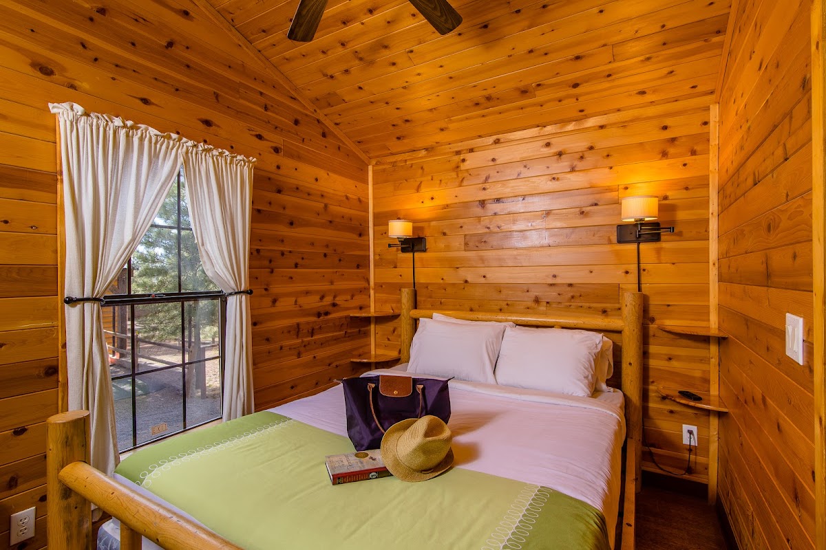 Williams / Exit 167 / Circle Pines KOA Holiday — photo 3