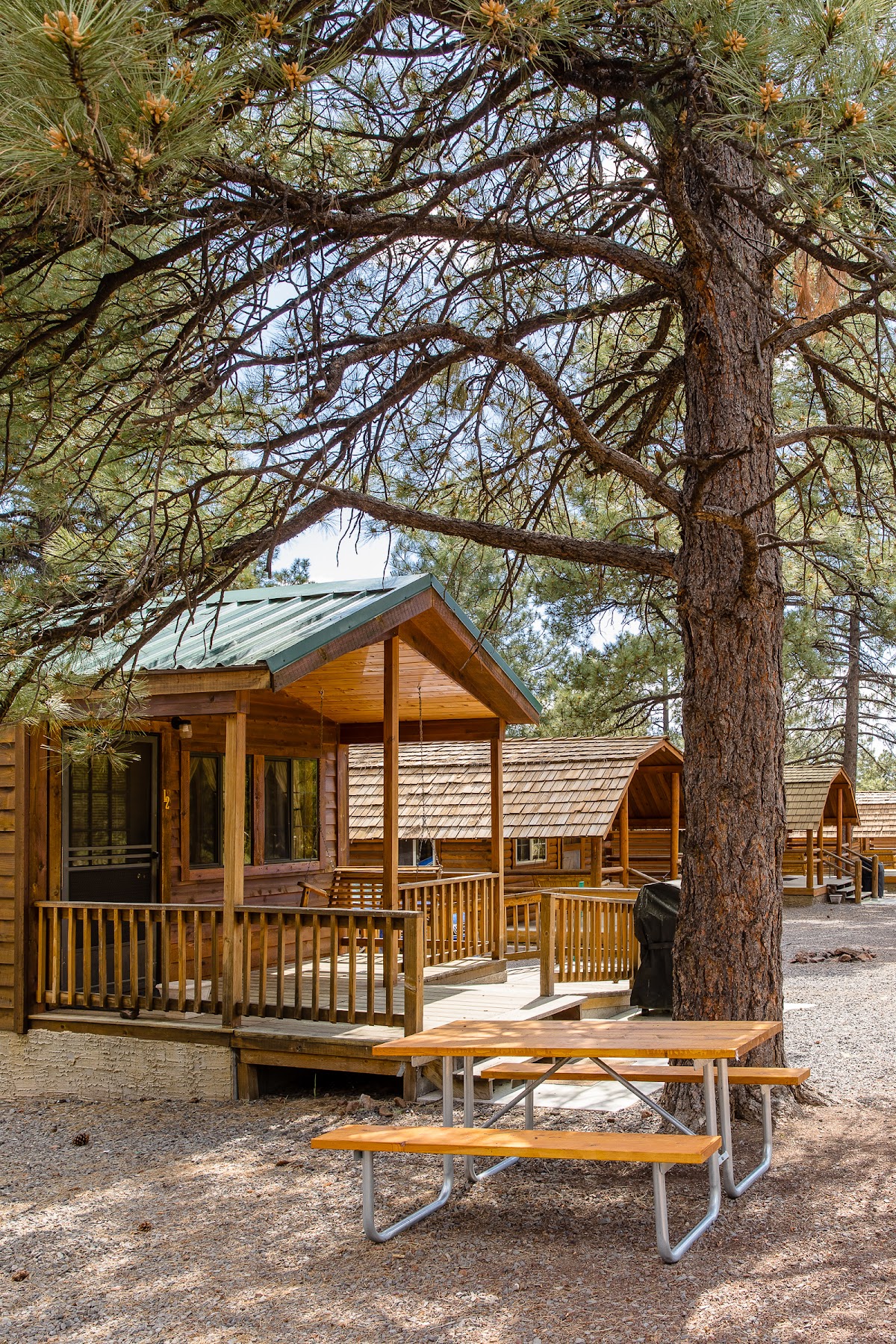 Williams / Exit 167 / Circle Pines KOA Holiday — photo 5