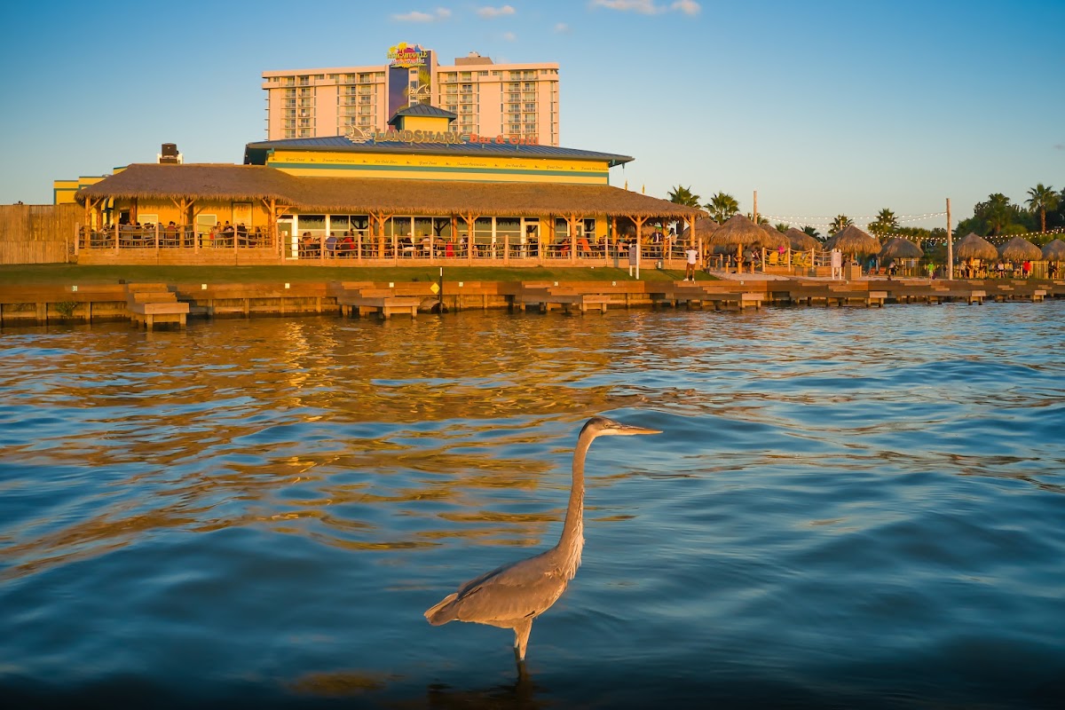 Margaritaville Lake Resort