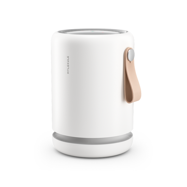 Molekule Air Purifier