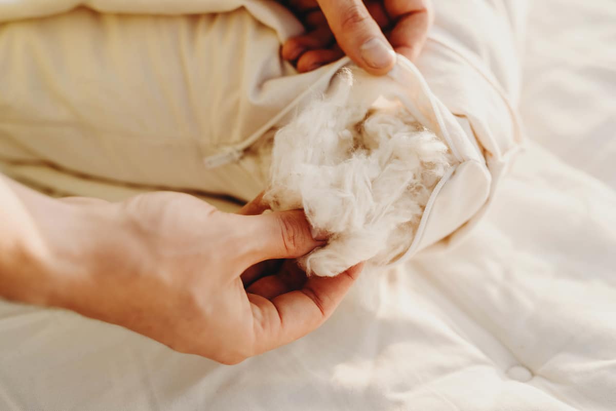 Savvy Rest Organic Kapok Pillow