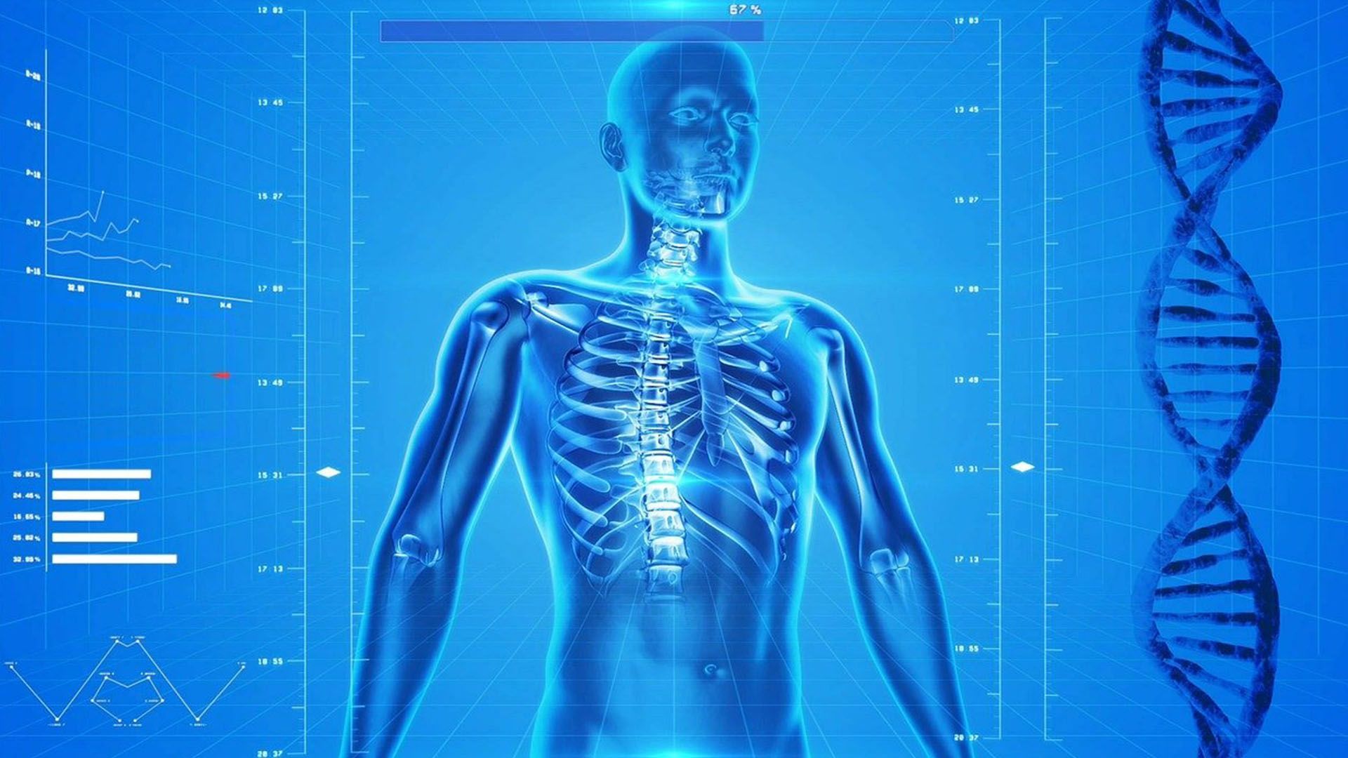 Bioenergetic Health & Wellness Center