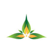 Absolute Health AZ