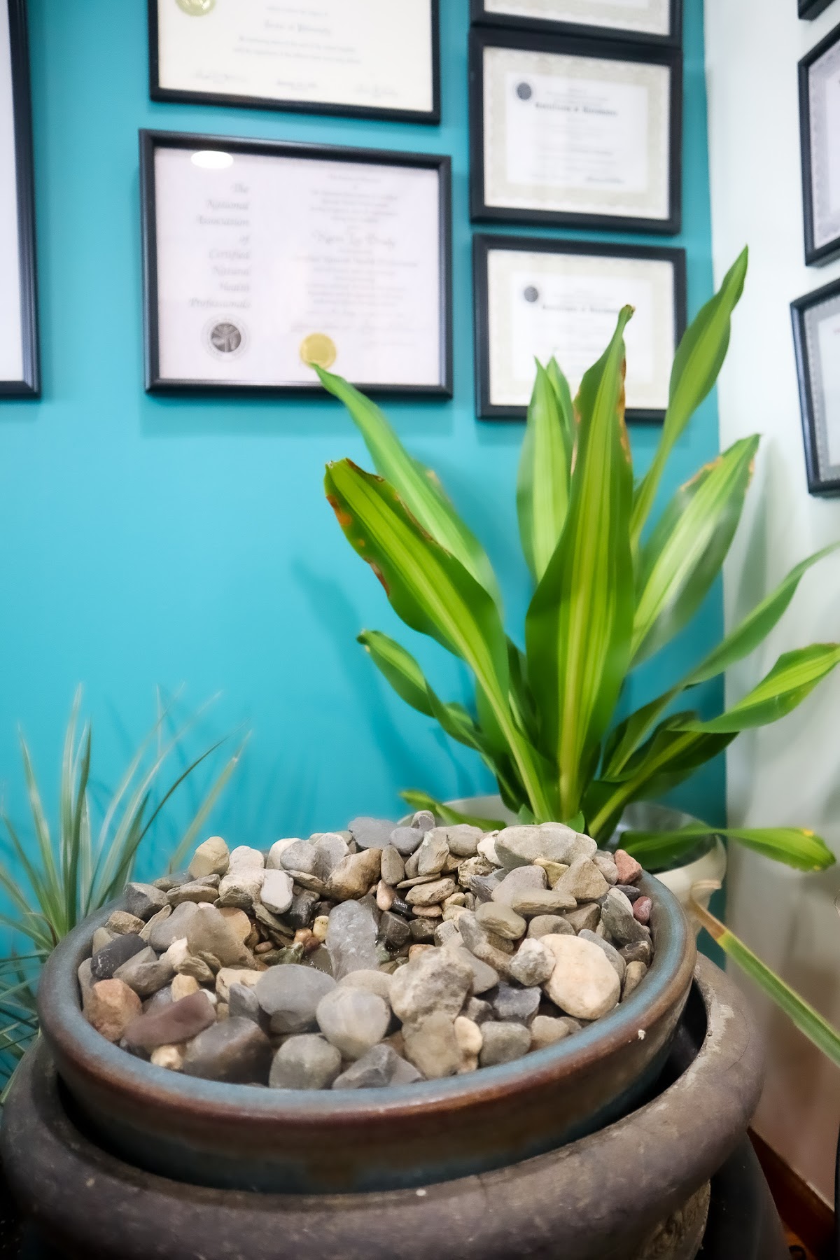 Natural Health Care Services