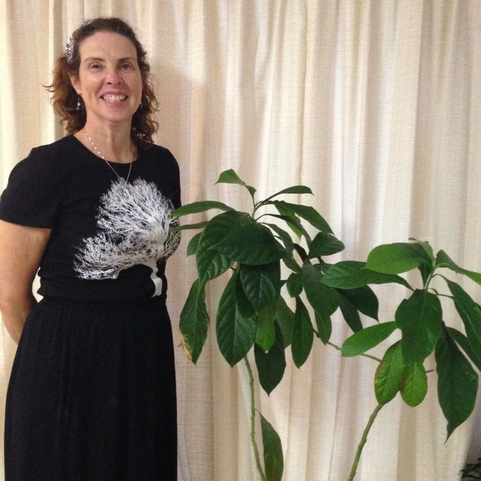 CT Lymphatic Therapy & Supplies (B. Jean Connal Massage Therapy & Lymphatics)