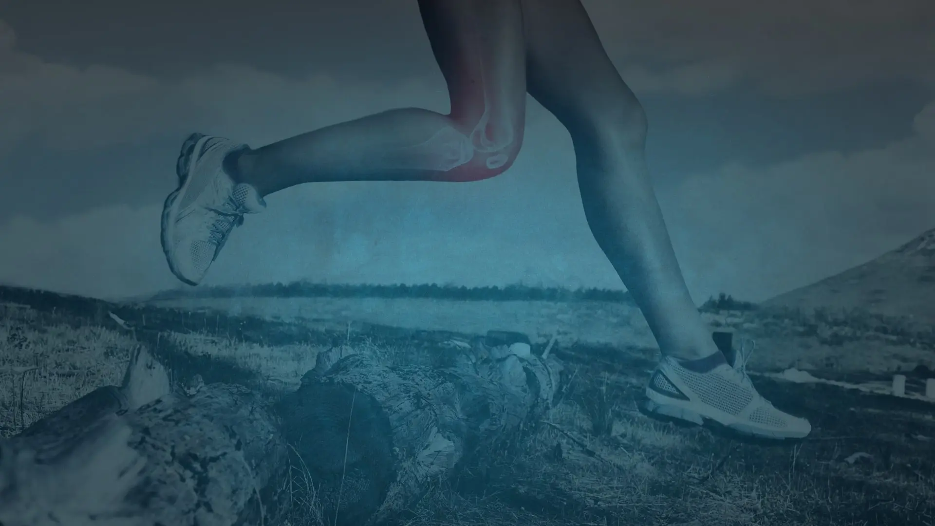 Hokanson Wellness