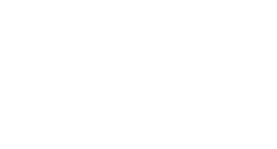 LoneStar Mold Testing