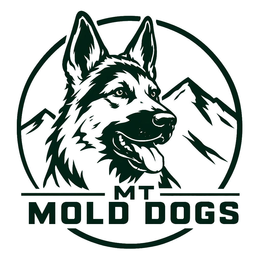 Montana Mold Dogs