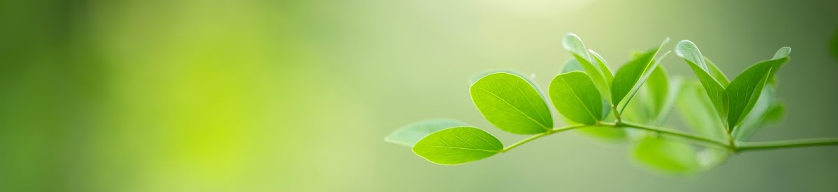 Integrative Medica