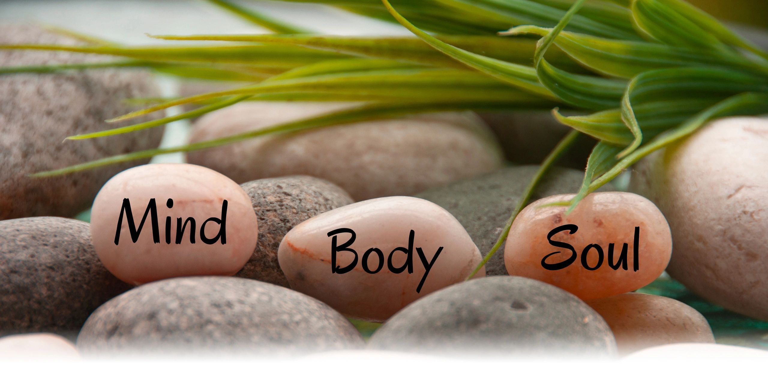 CoActive Wellness
