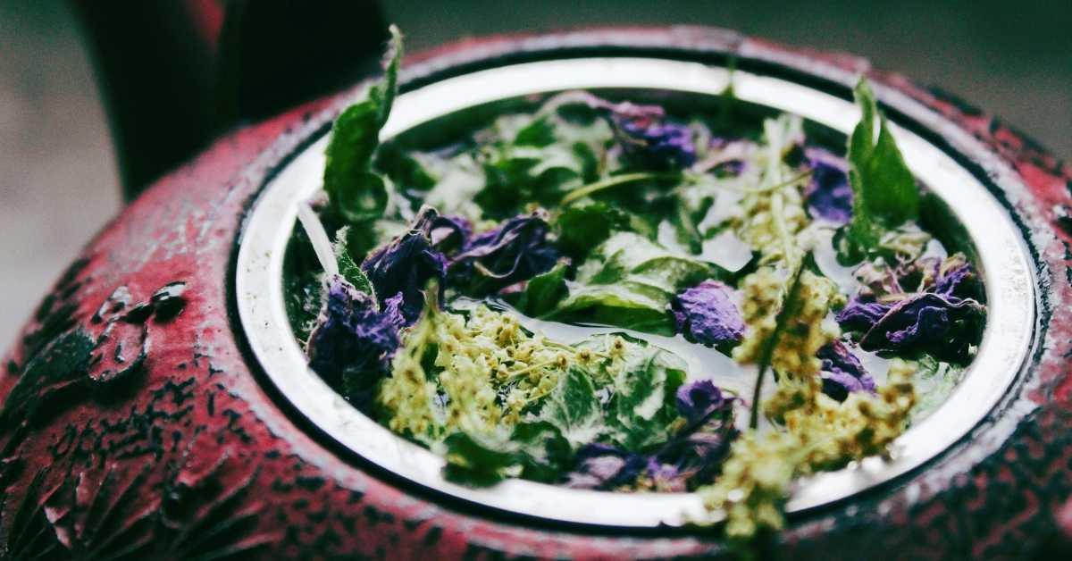 Temple Natural Health