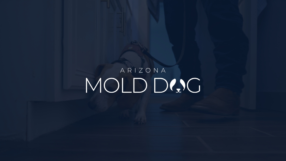 Arizona Mold Dog
