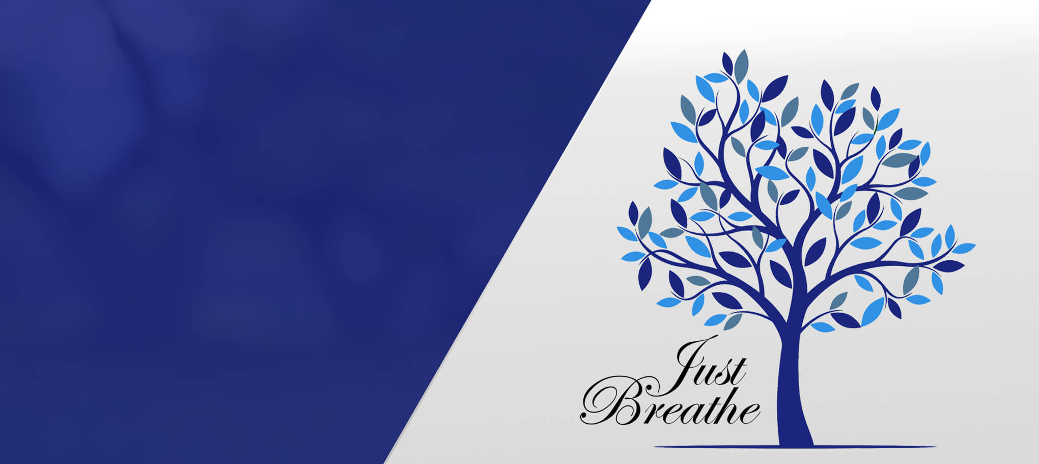 Genesis Hyperbarics Health & Wellness Center
