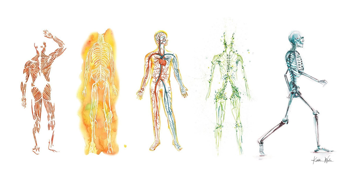Fascial Health