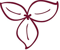 Trillium Manual Therapies