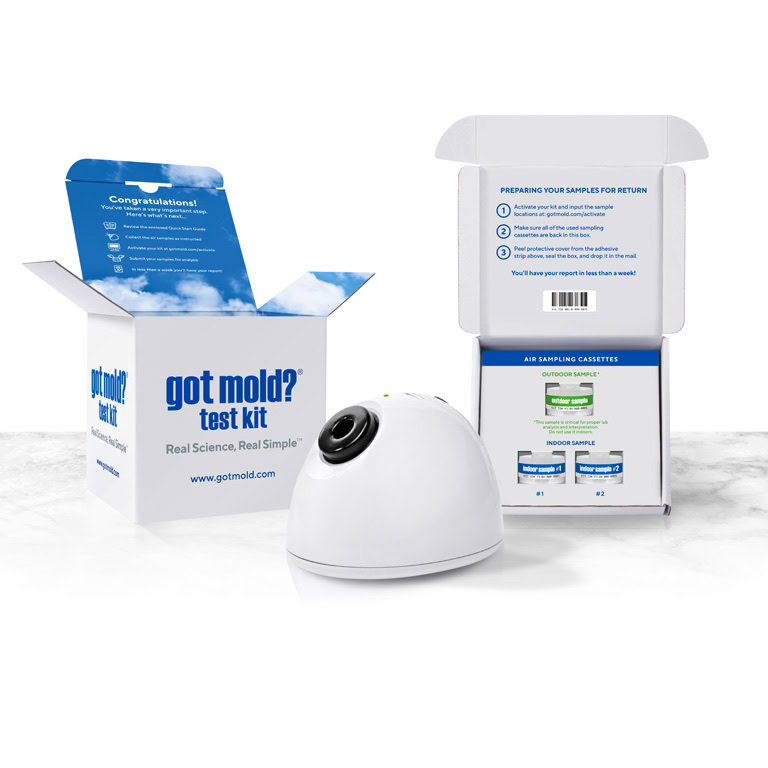GotMold? Test Kit