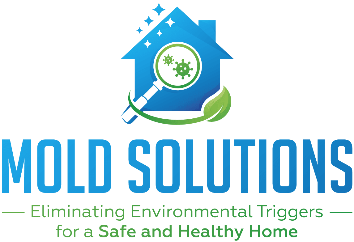Mold Solutions Tampa Bay
