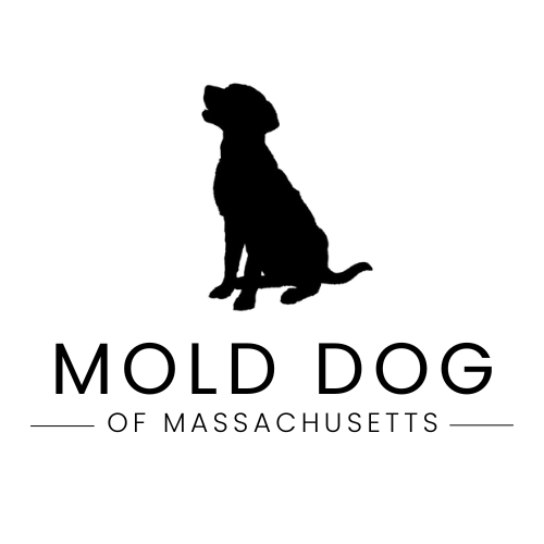 Mold Dog of Massachusetts